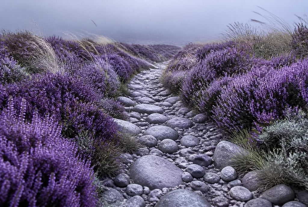 Heather & Stone